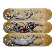 Load image into Gallery viewer, ROA - DECAY - 3 SKATEBOARDS