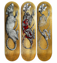 Load image into Gallery viewer, ROA - DECAY - 3 SKATEBOARDS
