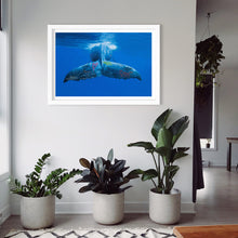 Load image into Gallery viewer, JOSH KEYES<br>GOODBYE (ED of 200)