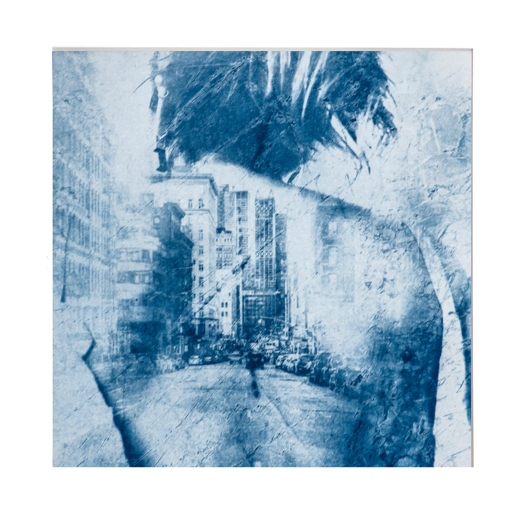 ISABELLE GOEMINNE - Cyanotype 2